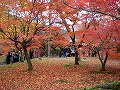 東福寺