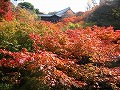 東福寺