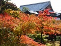 東福寺