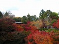 東福寺