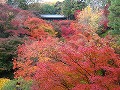 東福寺