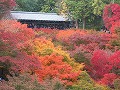 東福寺