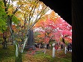 東福寺