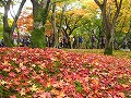 東福寺