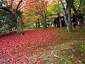 東福寺