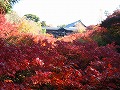 東福寺