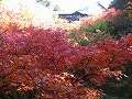 東福寺