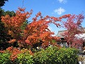 東福寺