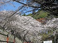 霊山護国神社・霊山歴史館