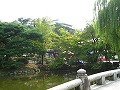 清水界隈・円山公園