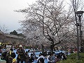 清水界隈・円山公園