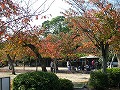 清水界隈・円山公園