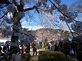 清水界隈・円山公園