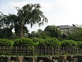 清水界隈・円山公園