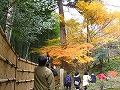 銀閣寺