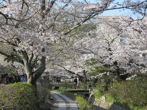 哲学の道