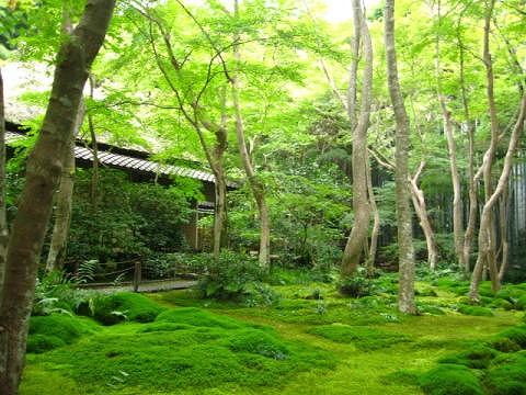 祇王寺