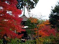 常寂光寺