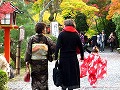 大原野神社