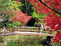 大原野神社