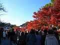 天龍寺