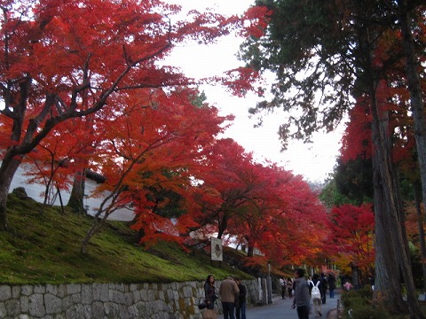 曼殊院門跡（まんしゅいんもんぜき）