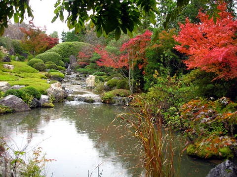 退蔵院