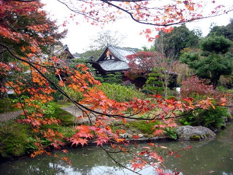 法金剛院