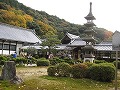 興聖寺（こうしょうじ）