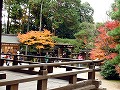 宇治上神社