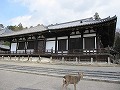 東大寺周辺（二月堂など）　