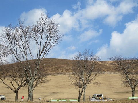 若草山