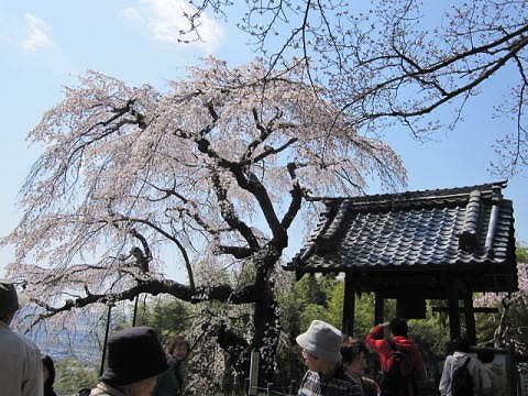 地蔵禅院