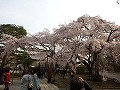 醍醐寺