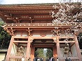 醍醐寺