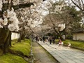 醍醐寺