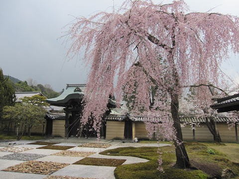 高台寺