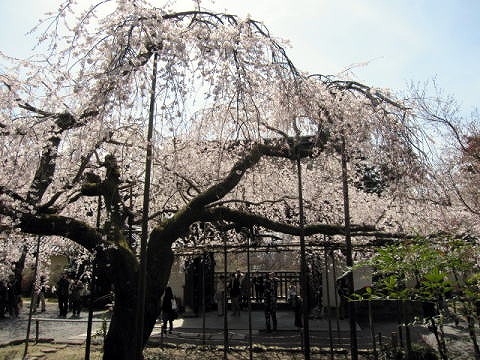 毘沙門堂・山科疏水