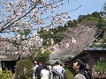 毘沙門堂・山科疏水