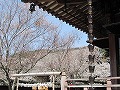 毘沙門堂・山科疏水