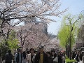 祇園北白川・辰巳神社