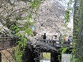 祇園北白川・辰巳神社