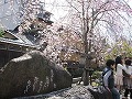 祇園北白川・辰巳神社