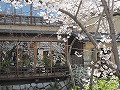 祇園北白川・辰巳神社