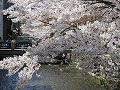 祇園北白川・辰巳神社