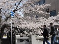 祇園北白川・辰巳神社