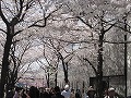 祇園北白川・辰巳神社