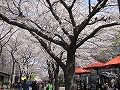 祇園北白川・辰巳神社