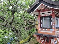 祇園北白川・辰巳神社