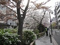 祇園北白川・辰巳神社